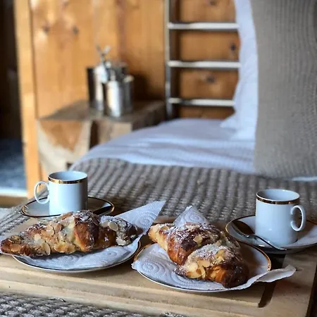 Dağ evi Chamonix Chalet With Mont Blanc Views Near Town Centre - Parking & Sauna