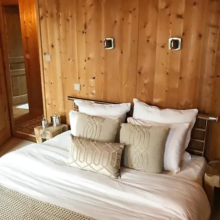 Dağ evi Chamonix Chalet With Mont Blanc Views Near Town Centre - Parking & Sauna Chamonix